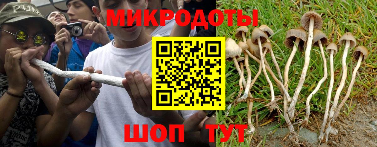 Галлюциногенные грибы прущие грибы Мценск
