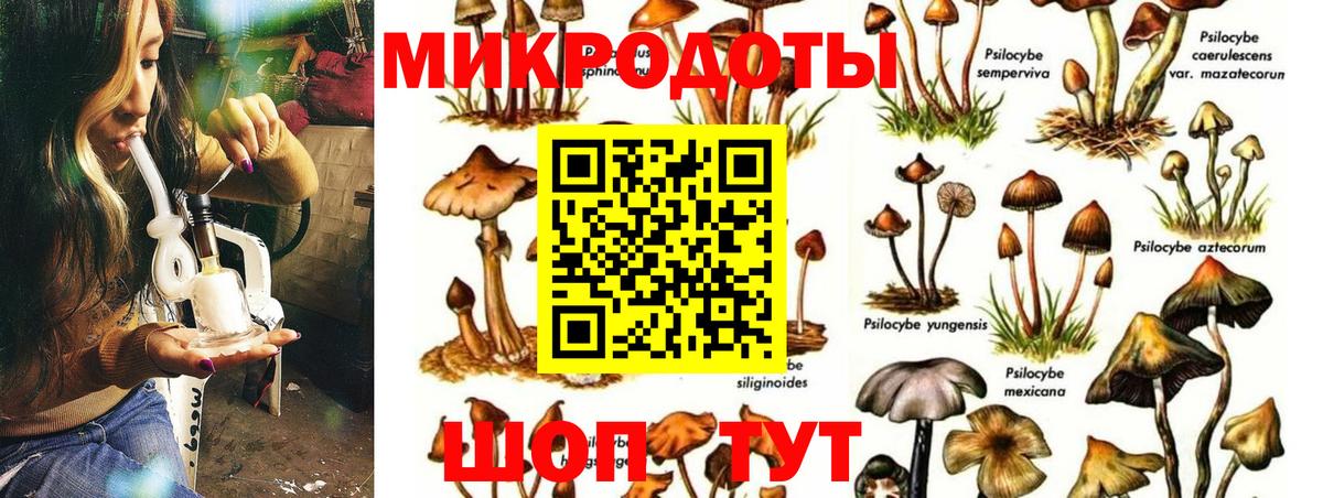 Псилоцибиновые грибы MAGIC MUSHROOMS  Псилоцибиновые грибы Cubensis  Вход с VPN  где найти   Мценск 